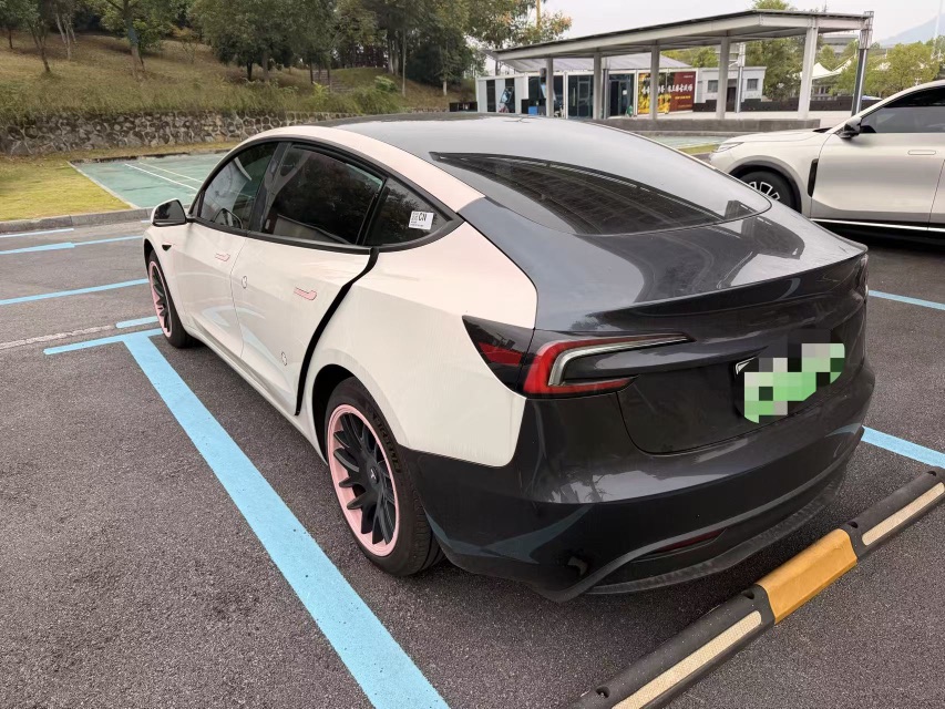 Tesla Model 3 2024 #8 Tesla Model 3 2024 car image #8