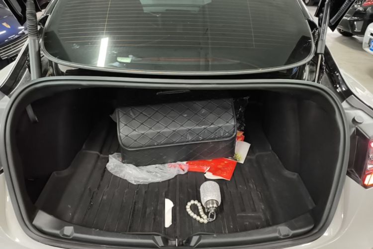 Tesla Model 3 2023 immagine di auto #19