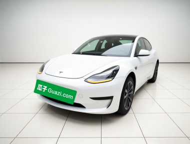 Tesla Model 3 2020 Tesla Model 3 2020 car image