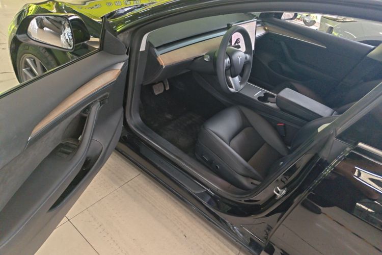 Tesla Model 3 2021 #16 Tesla Model 3 2021 car image #16
