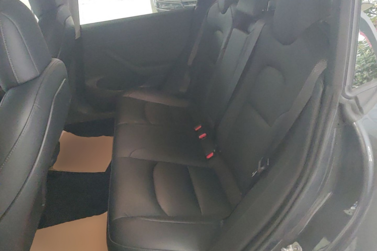 Tesla Model 3 2021 car image #17