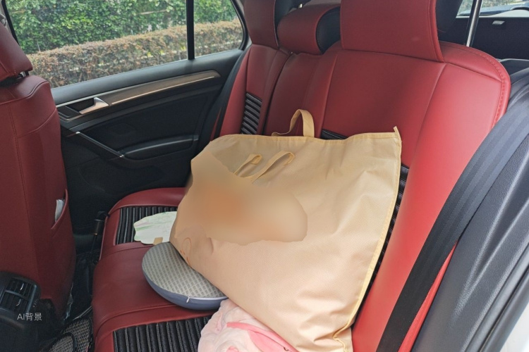 Volkswagen Golf 2016 car image #19
