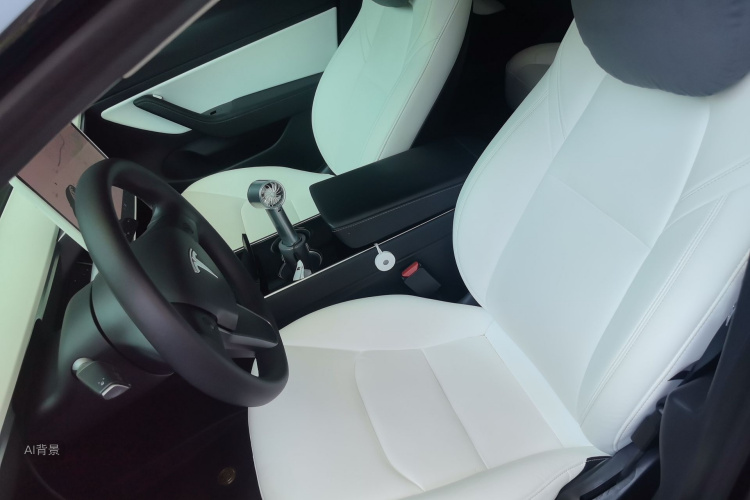 Tesla Model 3 2020 #17 Tesla Model 3 2020 car image #17