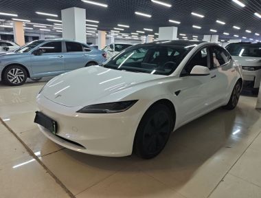 Tesla Model 3 2024 Tesla Model 3 2024 car image