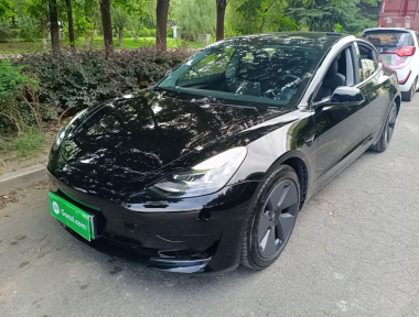 Tesla Model 3 2021 Tesla Model 3 2021 car image