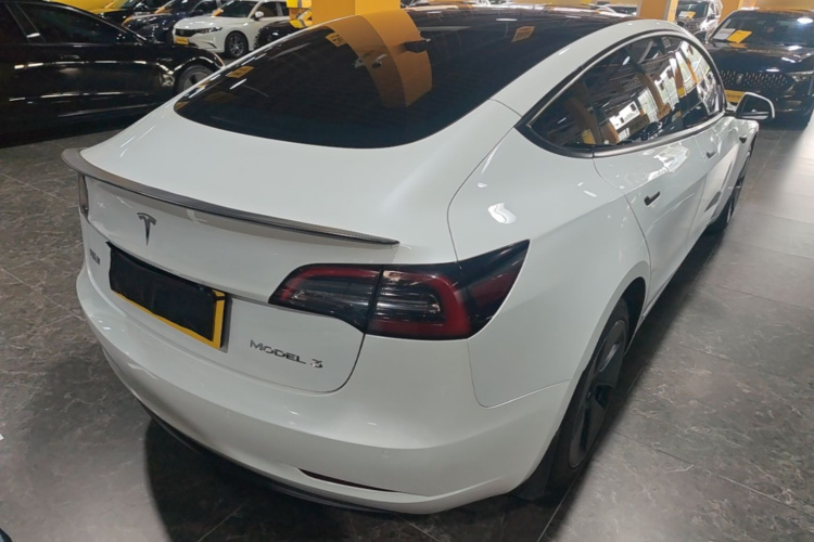 Tesla Model 3 2021 #5 Tesla Model 3 2021 car image #5