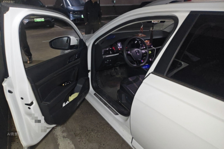 Volkswagen Lavida 2019 car image #18