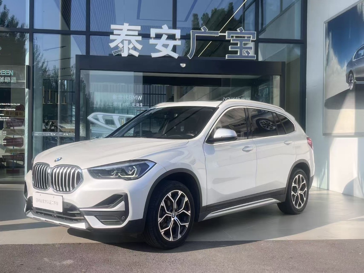 BMW X1 2020 imagen de coche 