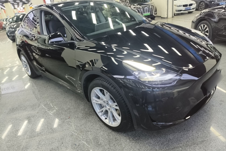 Tesla Model Y 2023 #6 Tesla Model Y 2023 car image #6
