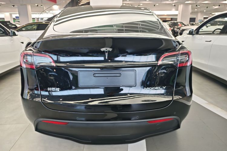 Tesla Model Y 2021 car image #6