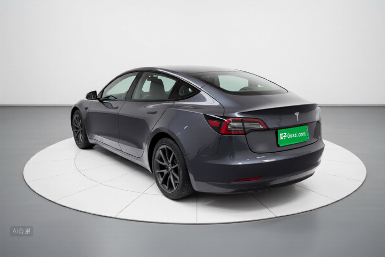 Tesla Model 3 2021 #5 Tesla Model 3 2021 car image #5