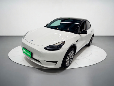 Tesla Model Y 2024 Tesla Model Y 2024 car image