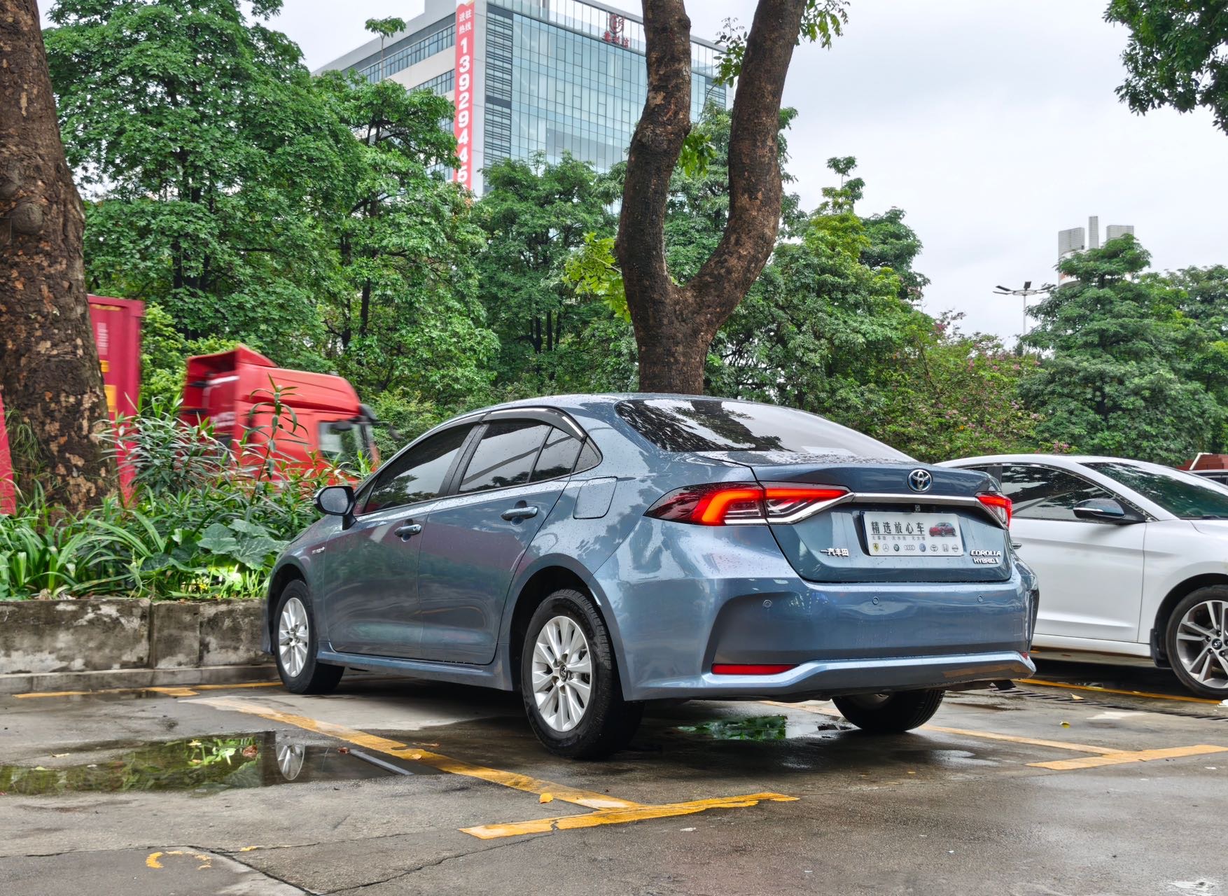 Toyota Corolla 2022 #7 Toyota Corolla 2022 car image #7