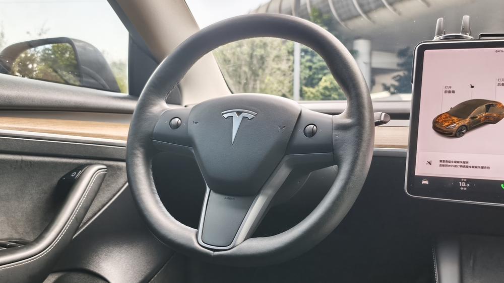Tesla Model 3 2021 car image #17