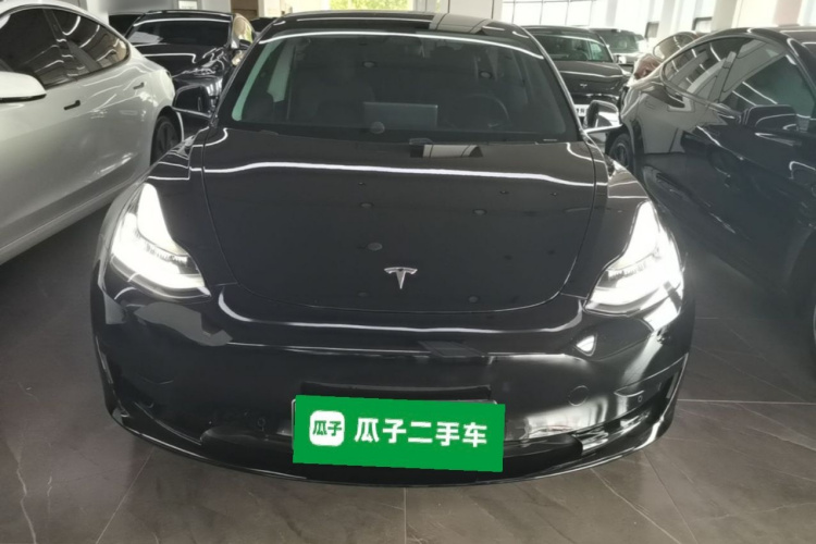 Tesla Model 3 2020 car image #3