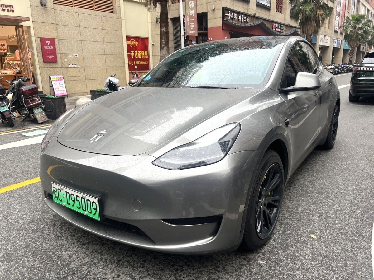 Tesla Model Y 2023 Tesla Model Y 2023 car image
