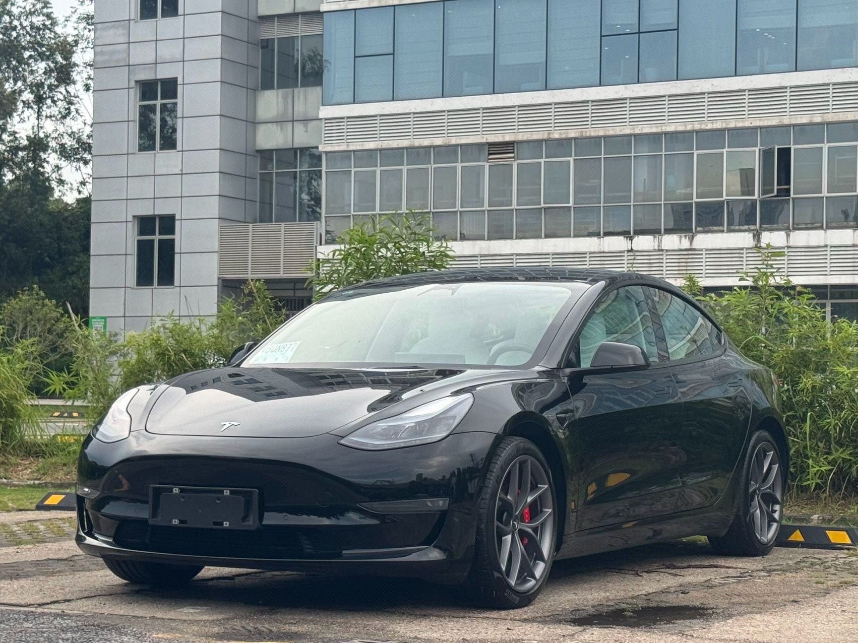 Tesla Model 3 2023 Tesla Model 3 2023 car image