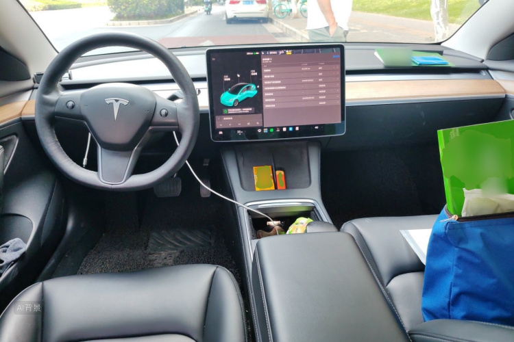 Tesla Model 3 2021 car image #11