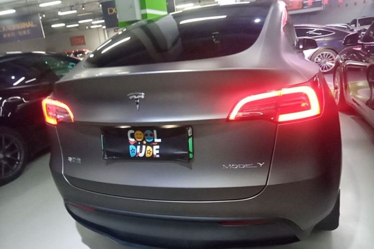 Tesla Model Y 2021 car image #6