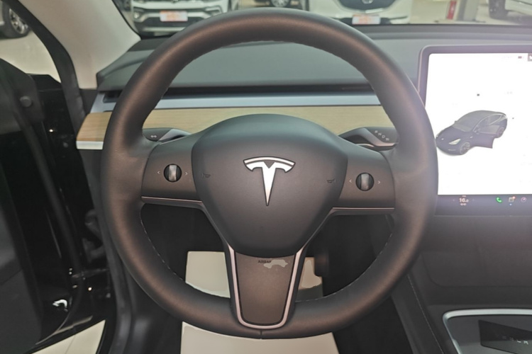 Tesla Model Y 2021 car image #11