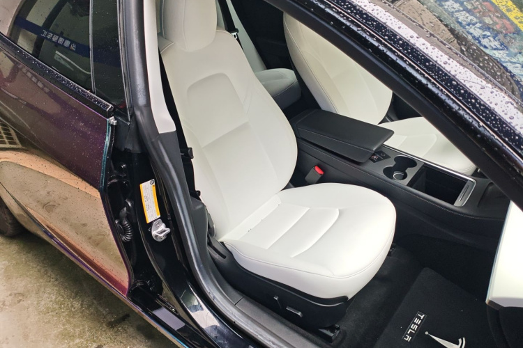 Tesla Model 3 2022 #24 Tesla Model 3 2022 car image #24