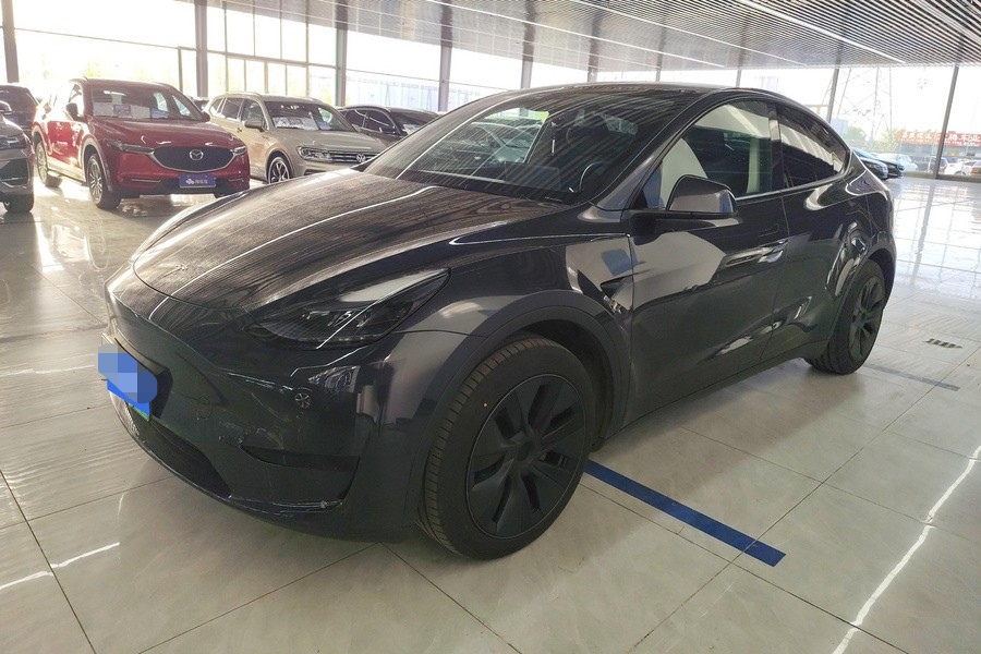 Tesla Model Y 2024 car image 