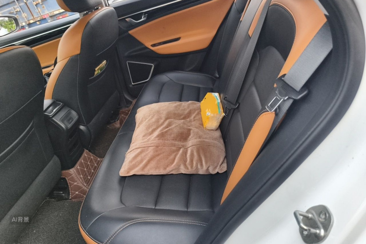 GEELY Emgrand GL 2020 car image #19