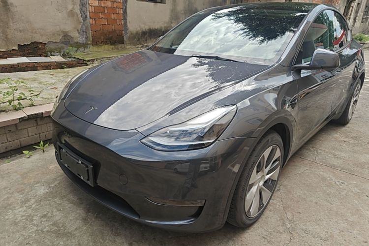 Tesla Model Y 2021 #2 Tesla Model Y 2021 car image #2
