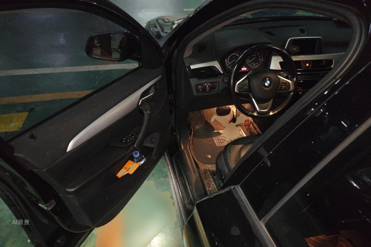 BMW X1 2016 car image #18