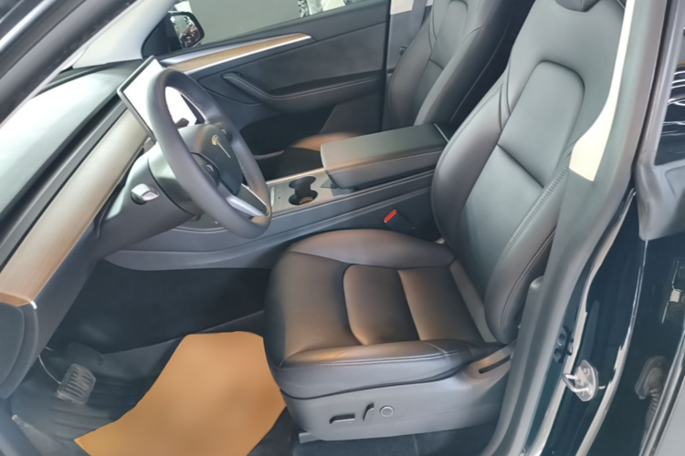Tesla Model Y 2021 car image #19