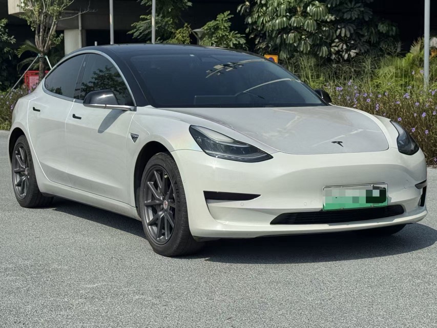 Tesla Model 3 2021 #3 Tesla Model 3 2021 car image #3
