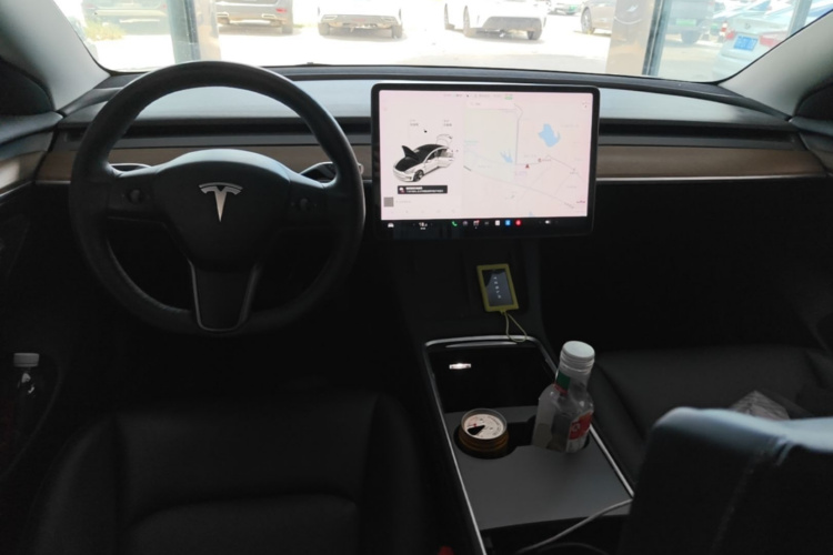 Tesla Model 3 2021 car image #10