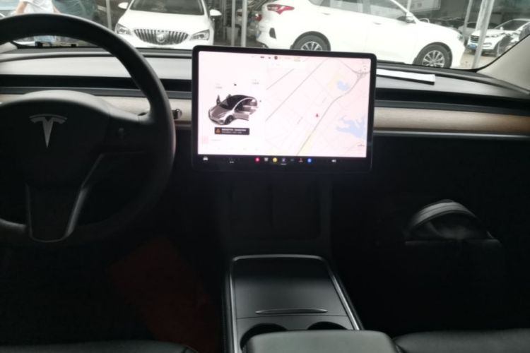 Tesla Model 3 2021 car image #13
