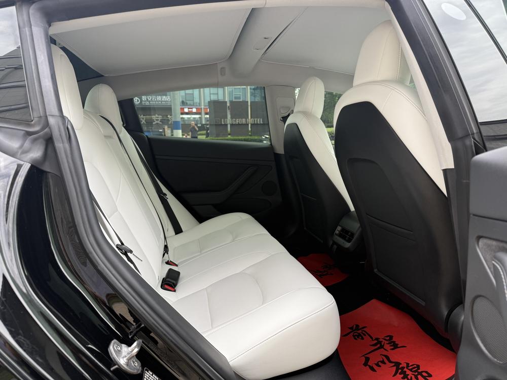 Tesla Model 3 2021 #14 Tesla Model 3 2021 car image #14
