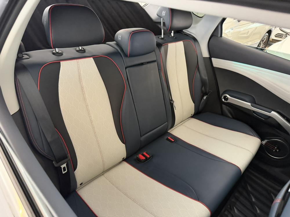 BYD Yuan Plus 2022 #25 BYD Yuan Plus 2022 immagine di auto #25