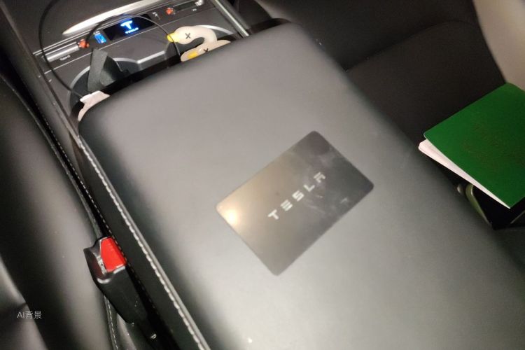 Tesla Model 3 2022 car image #10