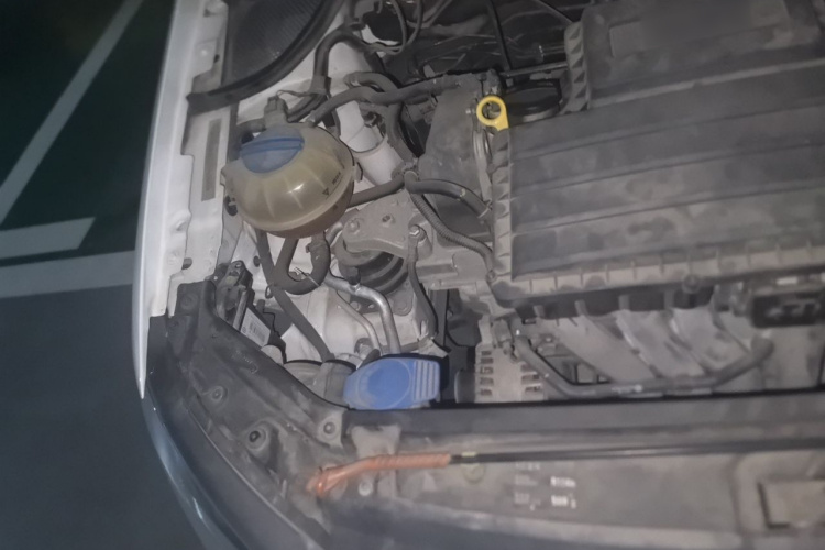 Volkswagen Polo 2015 car image #28