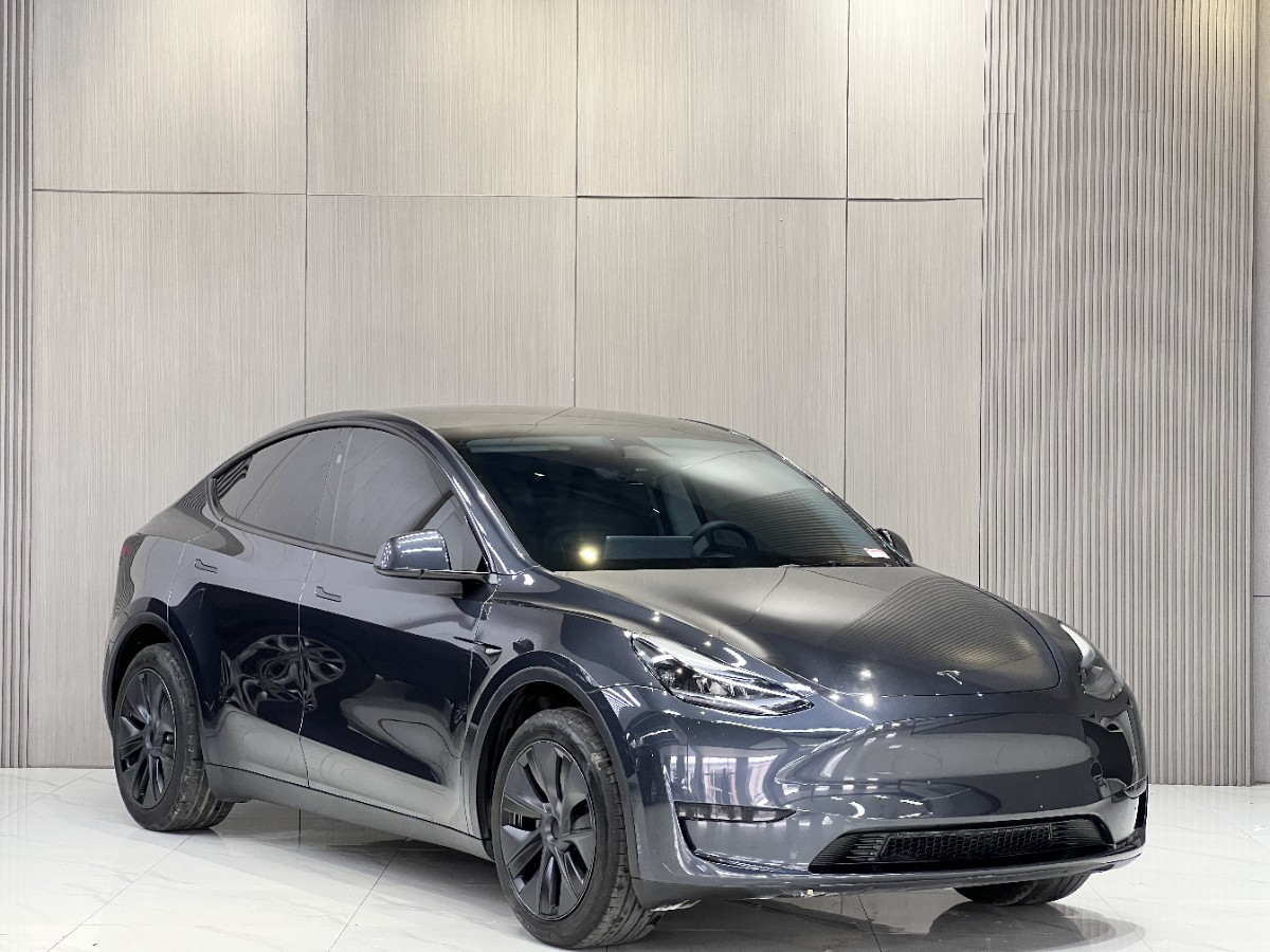 Tesla Model Y 2025 #3 Tesla Model Y 2025 car image #3