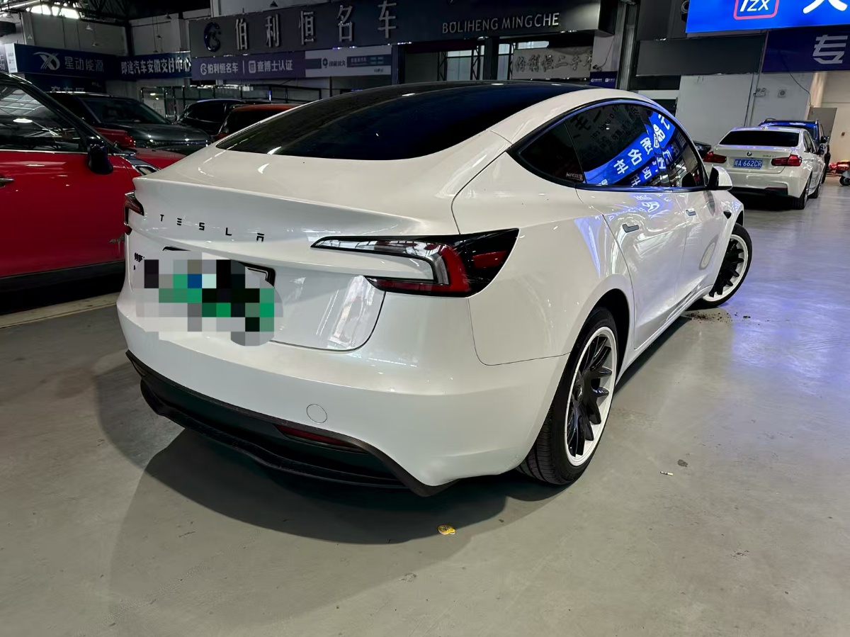 Tesla Model 3 2024 car image #6