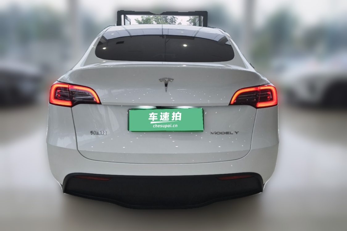 Tesla Model Y 2024 #6 Tesla Model Y 2024 car image #6