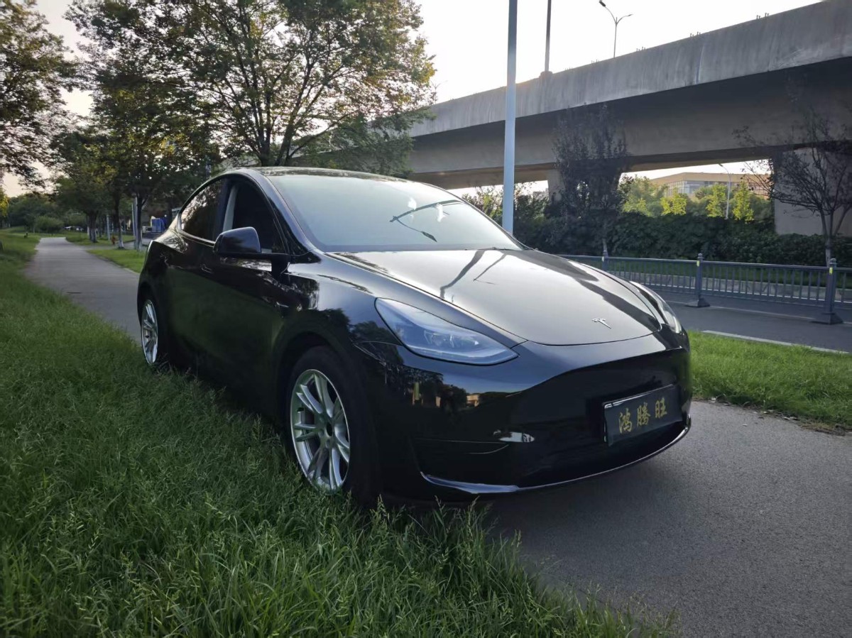 Tesla Model Y 2022 car image #3