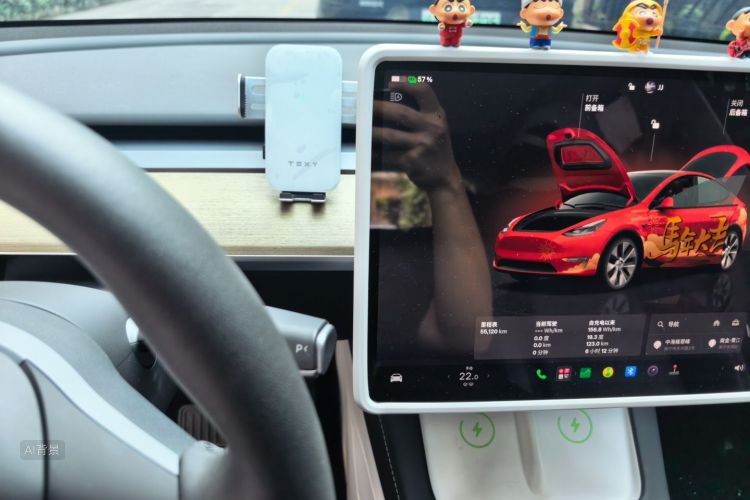 Tesla Model Y 2022 car image #13