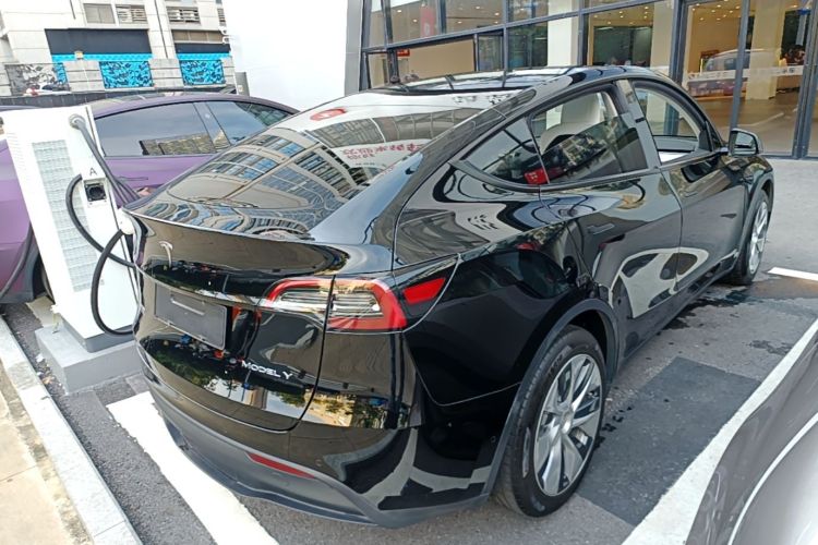 Tesla Model Y 2021 car image #7