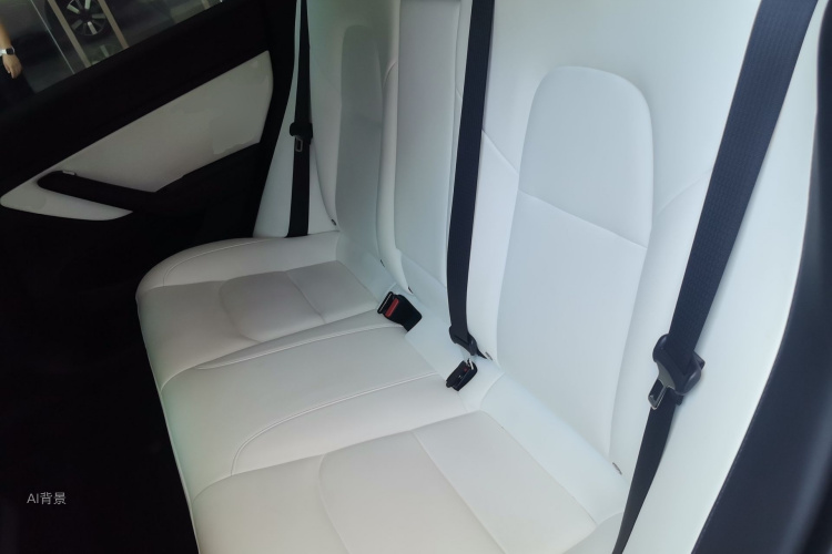 Tesla Model 3 2020 #19 Tesla Model 3 2020 car image #19