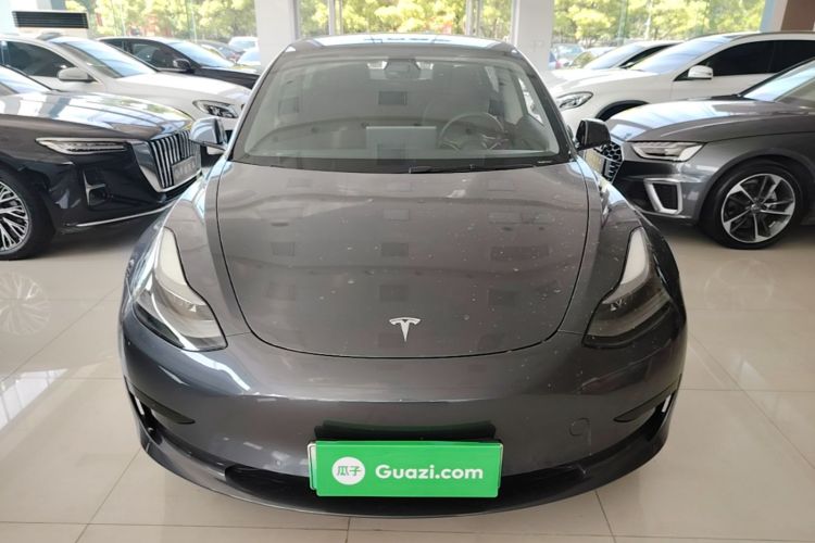 Tesla Model 3 2021 #3 Tesla Model 3 2021 car image #3