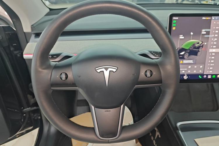 Tesla Model Y 2023 immagine di auto #11
