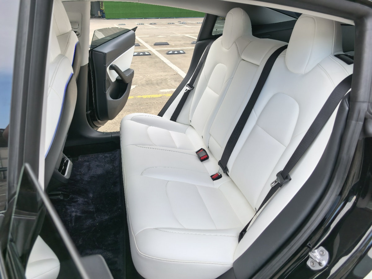 Tesla Model 3 2020 car image #7
