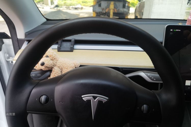 Tesla Model Y 2023 car image #13