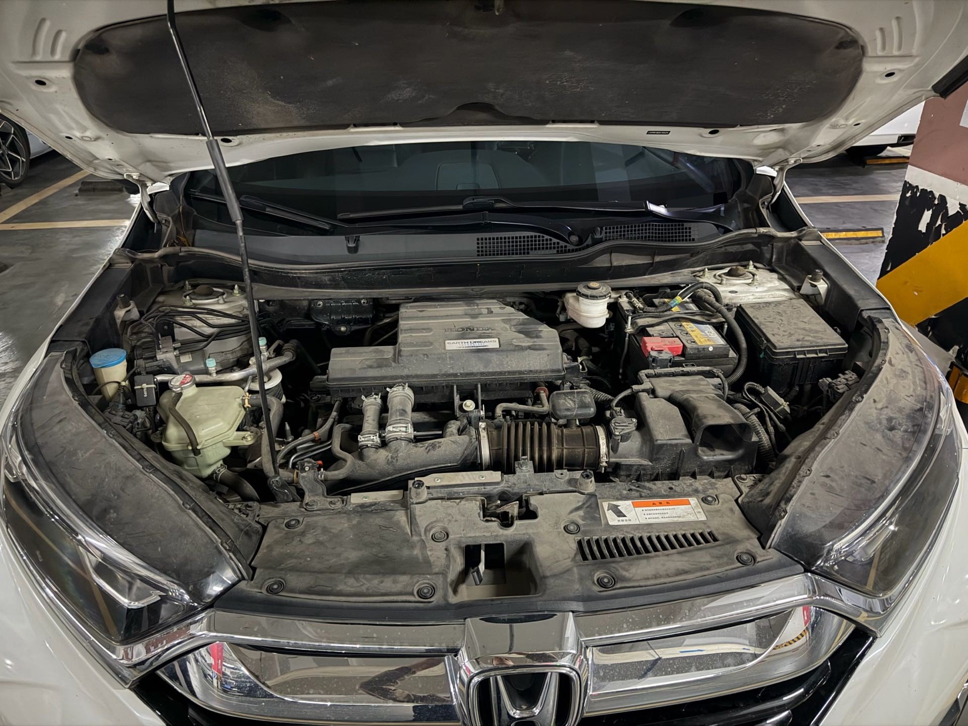 2019 #10 2019 car image #10