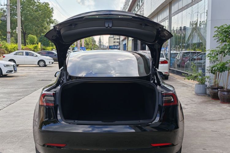 Tesla Model 3 2022 #10 Tesla Model 3 2022 car image #10
